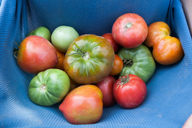 How to Preserve Produce with Dry Ice - Dry Ice Corp