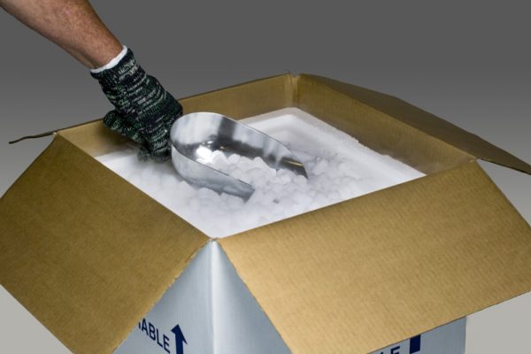 How to Pack a Cooler with Dry Ice - Dry Ice Corp